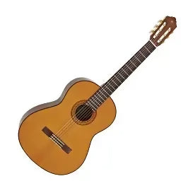 guitarra de concierto
