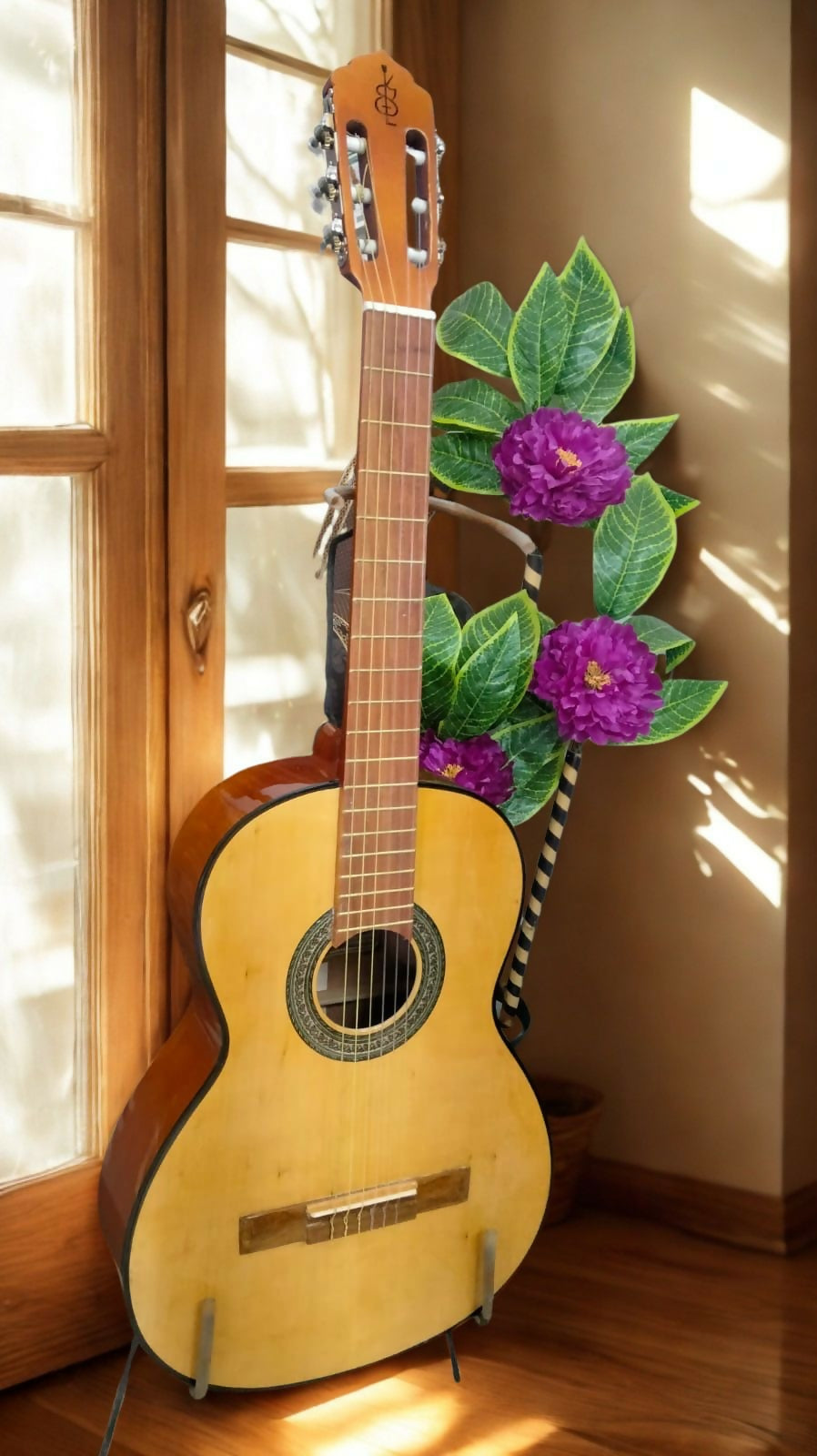 Guitarra clásica