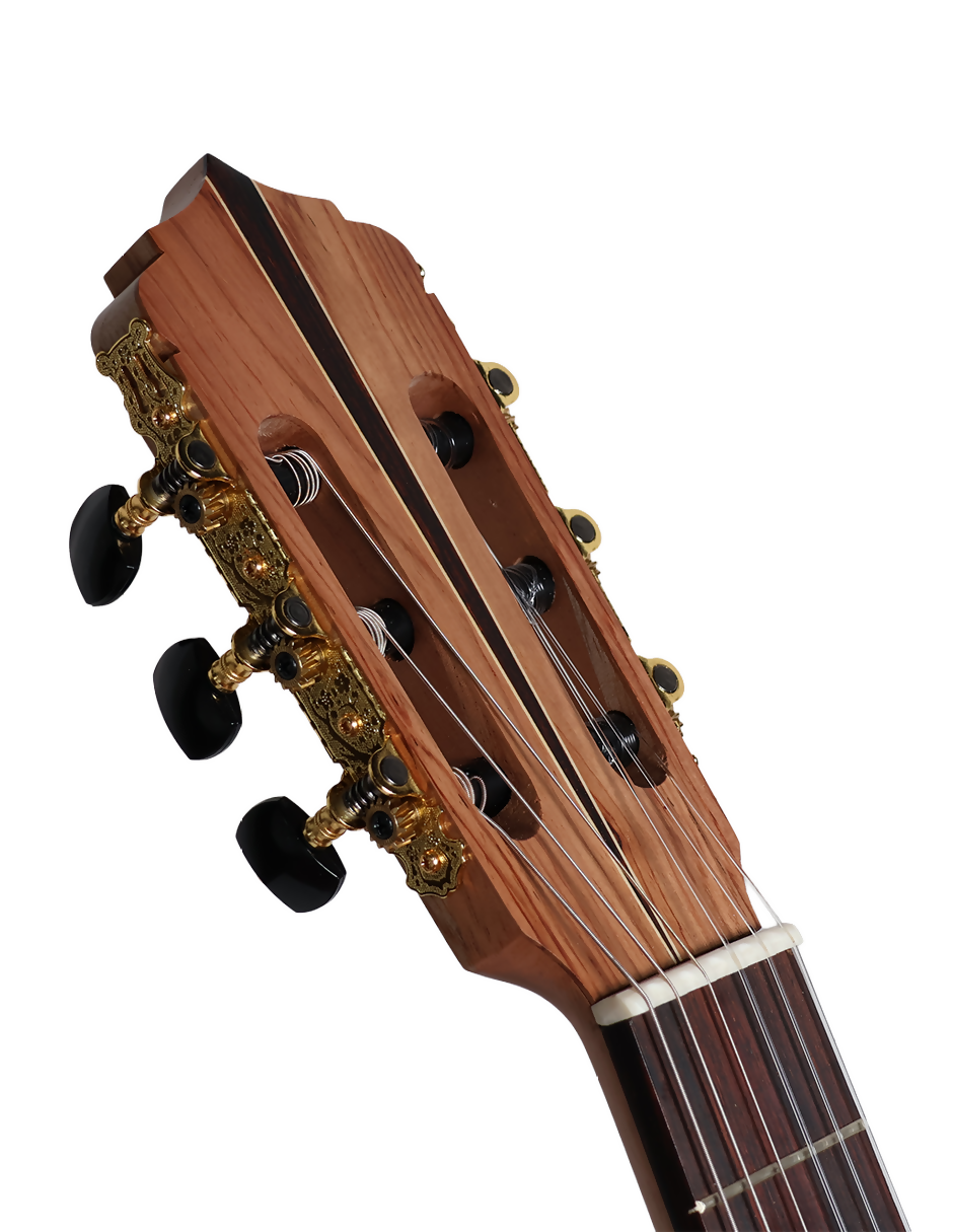 GUITARRA DE PALO ESCRITO